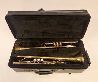 Prissänkt Yamaha Xeno dubbeletui